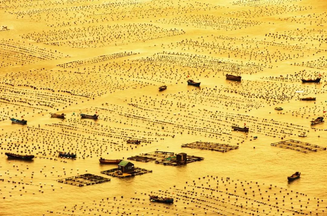 逃离钢筋水泥的盒子,去人少景美的嵊泗列岛,成全你放荡不羁的心