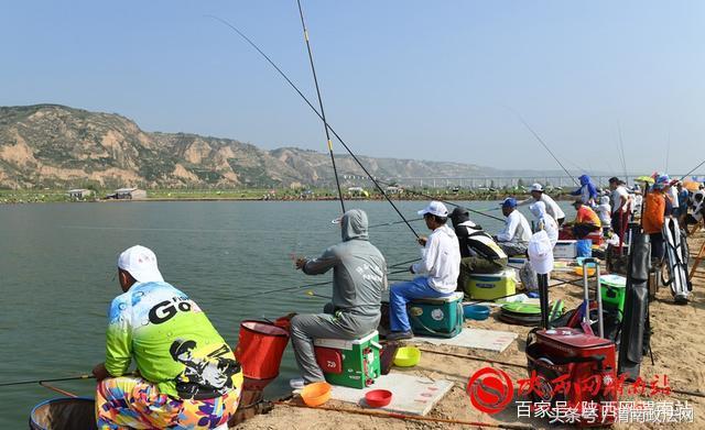 合阳洽川黄河湾,合阳钓鱼大赛