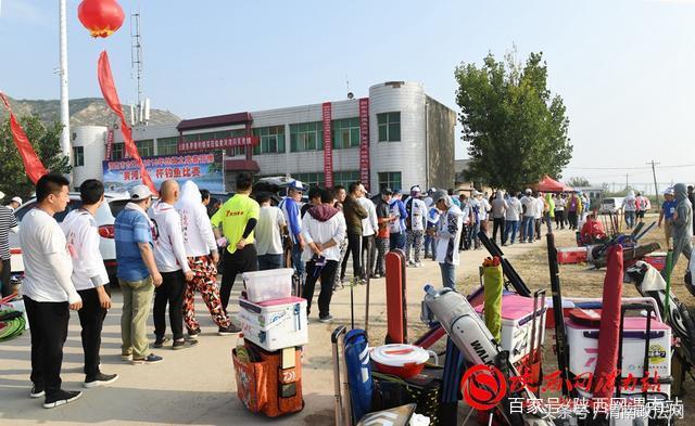 合阳洽川黄河湾,合阳钓鱼大赛