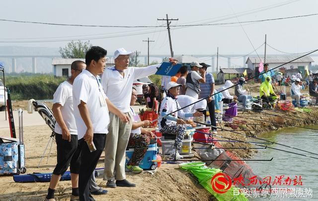 合阳洽川黄河湾,合阳钓鱼大赛