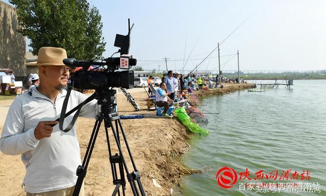 合阳洽川黄河湾,合阳钓鱼大赛