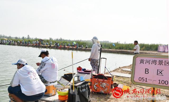 合阳洽川黄河湾,合阳钓鱼大赛