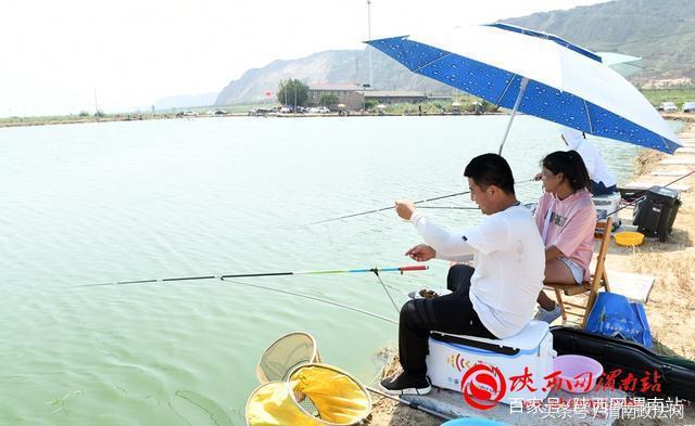 合阳洽川黄河湾,合阳钓鱼大赛