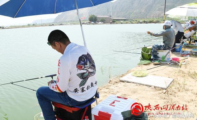 合阳洽川黄河湾,合阳钓鱼大赛