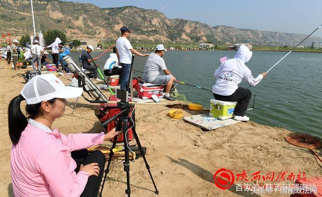 合阳洽川黄河湾,合阳钓鱼大赛