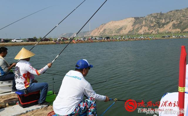 合阳洽川黄河湾,合阳钓鱼大赛