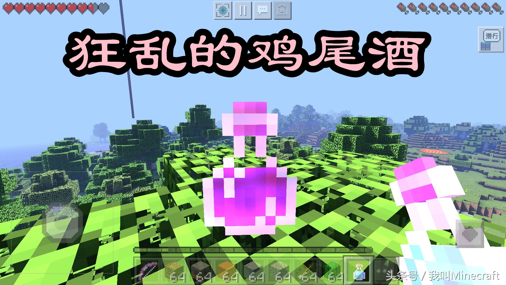 我的世界药水有哪12种效果,我的世界冷知识15个女巫