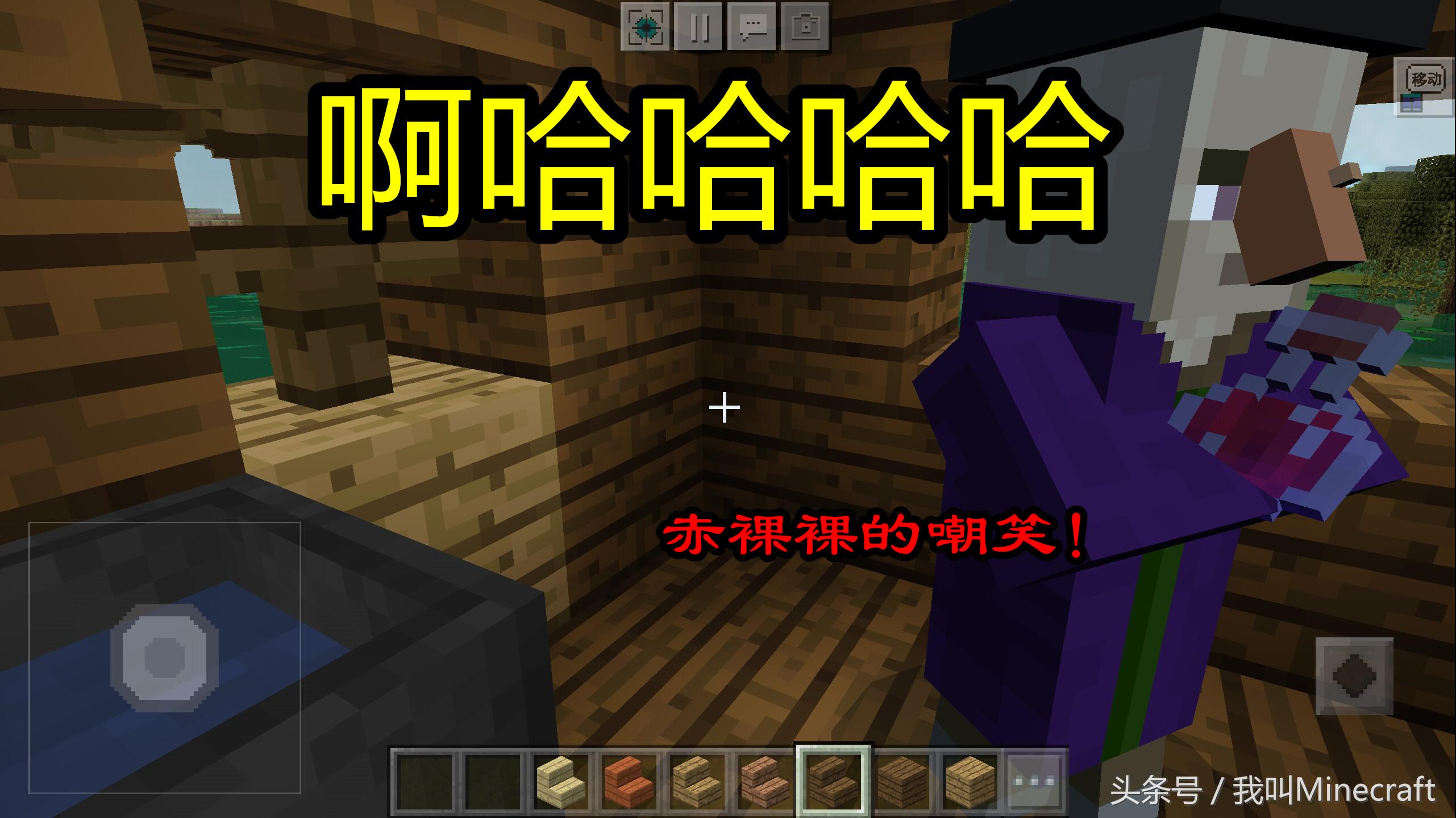 我的世界药水有哪12种效果,我的世界冷知识15个女巫