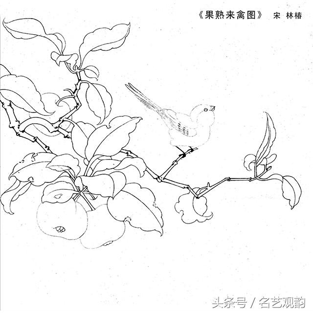 宋画工笔画底稿图文,宋画工笔白描最好的学习素材