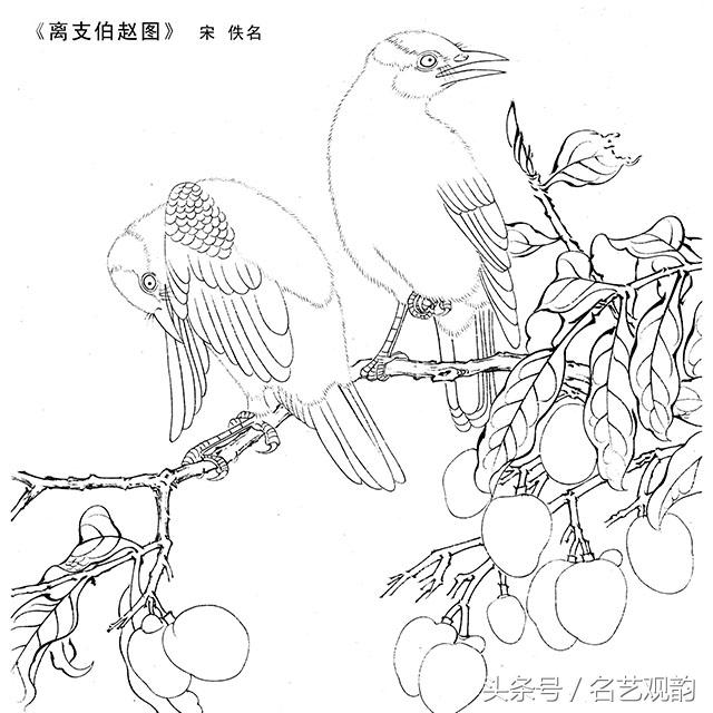宋画工笔画底稿图文,宋画工笔白描最好的学习素材