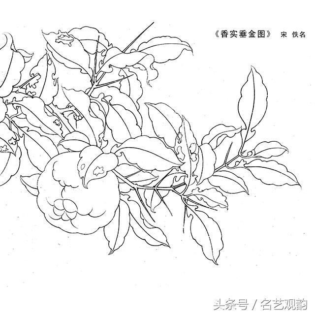 宋画工笔画底稿图文,宋画工笔白描最好的学习素材
