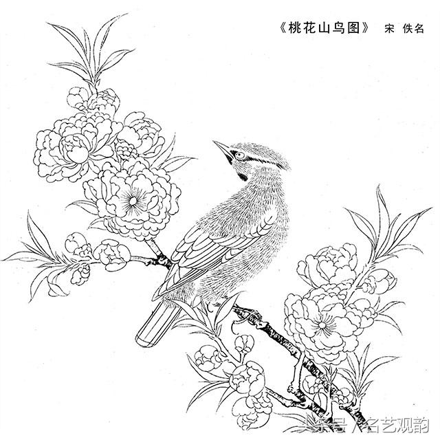宋画工笔画底稿图文,宋画工笔白描最好的学习素材