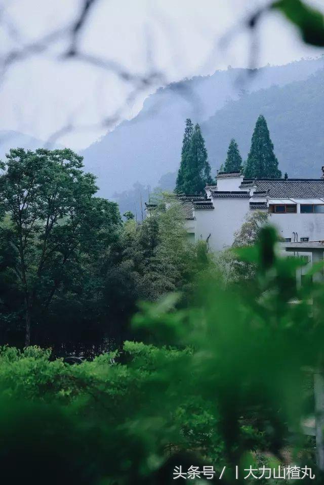 桐庐这些如诗画般高颜值精品民宿,桐庐有哪些隐藏的民宿