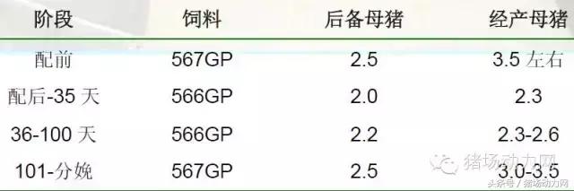 猪场分娩舍有哪些重点,猪场正常分娩接产的操作流程