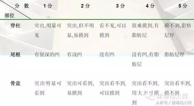 猪场分娩舍有哪些重点,猪场正常分娩接产的操作流程