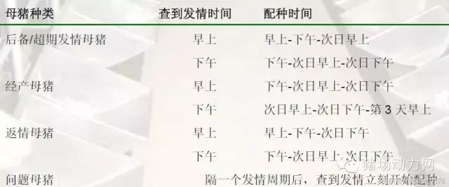 猪场分娩舍有哪些重点,猪场正常分娩接产的操作流程