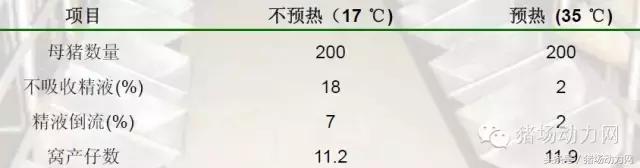 猪场分娩舍有哪些重点,猪场正常分娩接产的操作流程