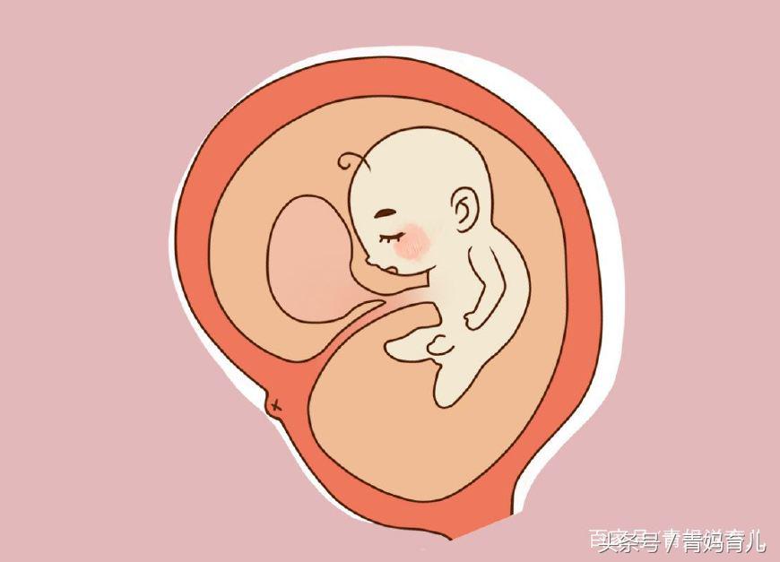 怀孕后，孕妈身上2个部位越“脏”越好，太干净反而有害胎儿健康