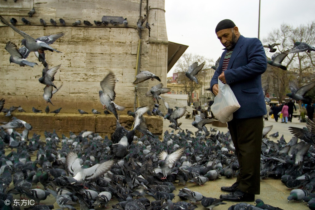 未来五年最赚钱的项目大曝光,一个不起眼却能长期赚钱的项目