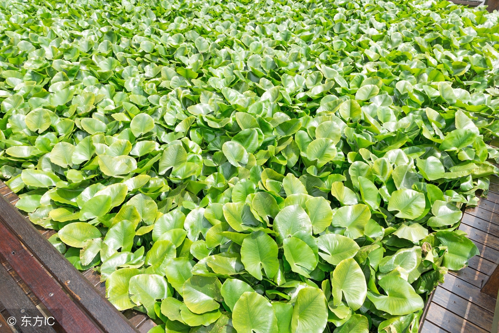 捞钱最快的路子,捞钱最快的10种创业项目