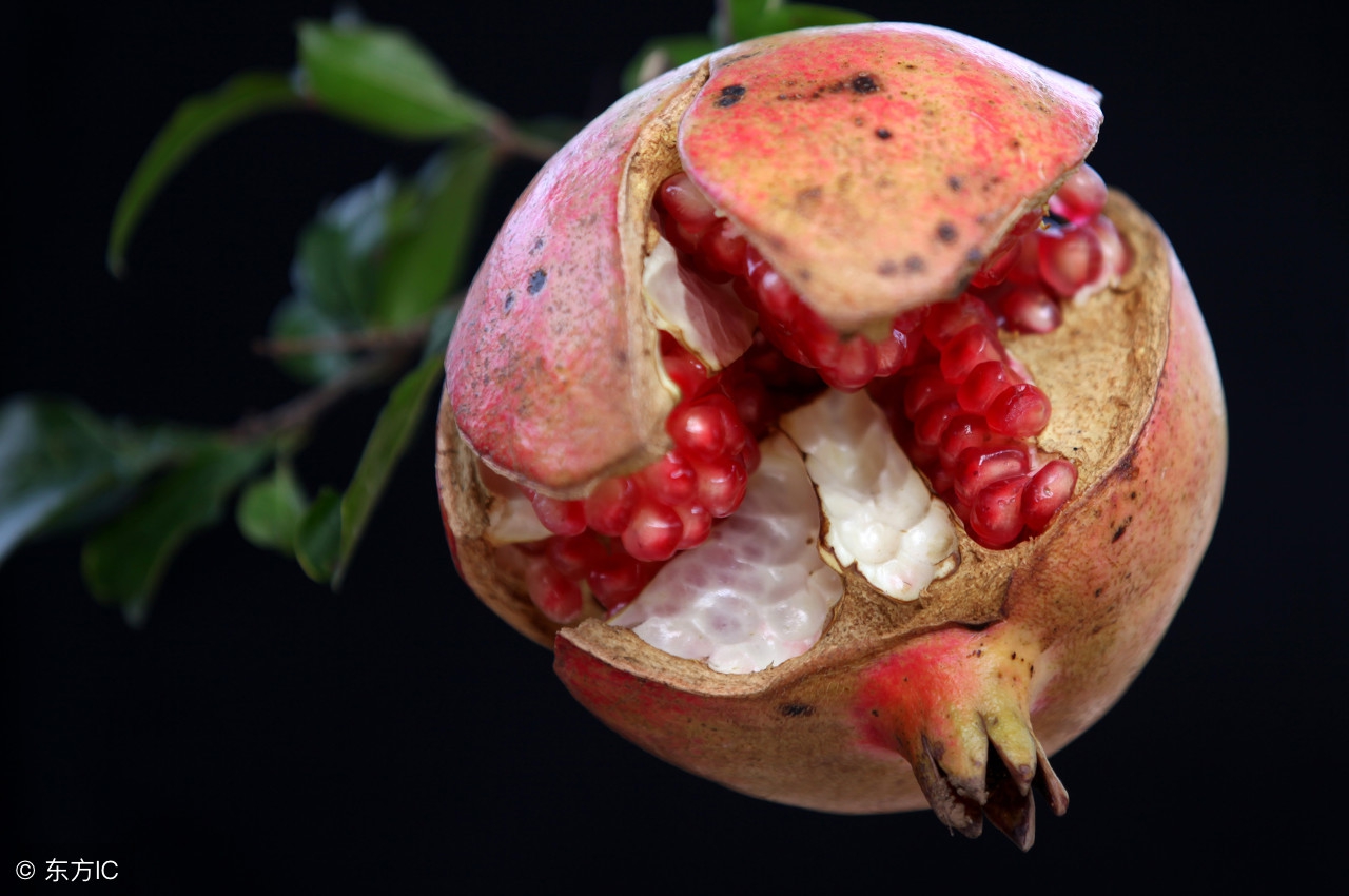 石榴防开裂什么时候用药好,石榴为什么会裂开怎么预防