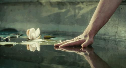 不要从别人嘴里认识我,不要在别人的嘴里认识我