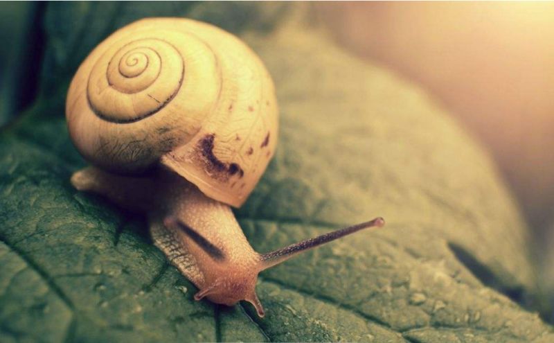 不要从别人嘴里认识我,不要在别人的嘴里认识我