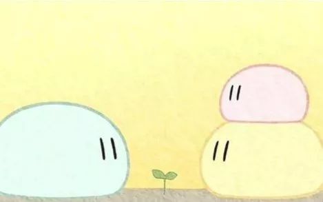 Wuppo——你听说过团子大家族吗?