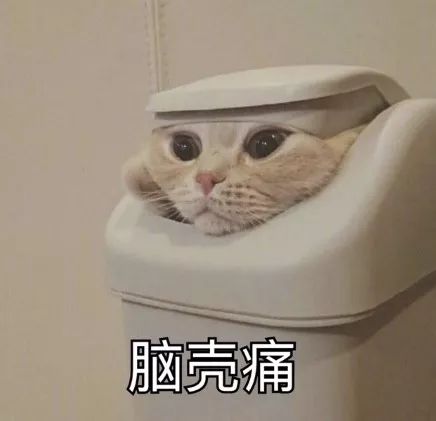 深圳适合过生日的地方推荐龙岗区,深圳适合庆祝生日的地方