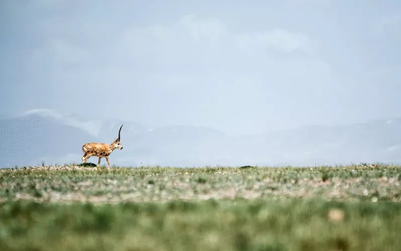 做过这30件事才叫爱旅行的人,旅行的十大重要事