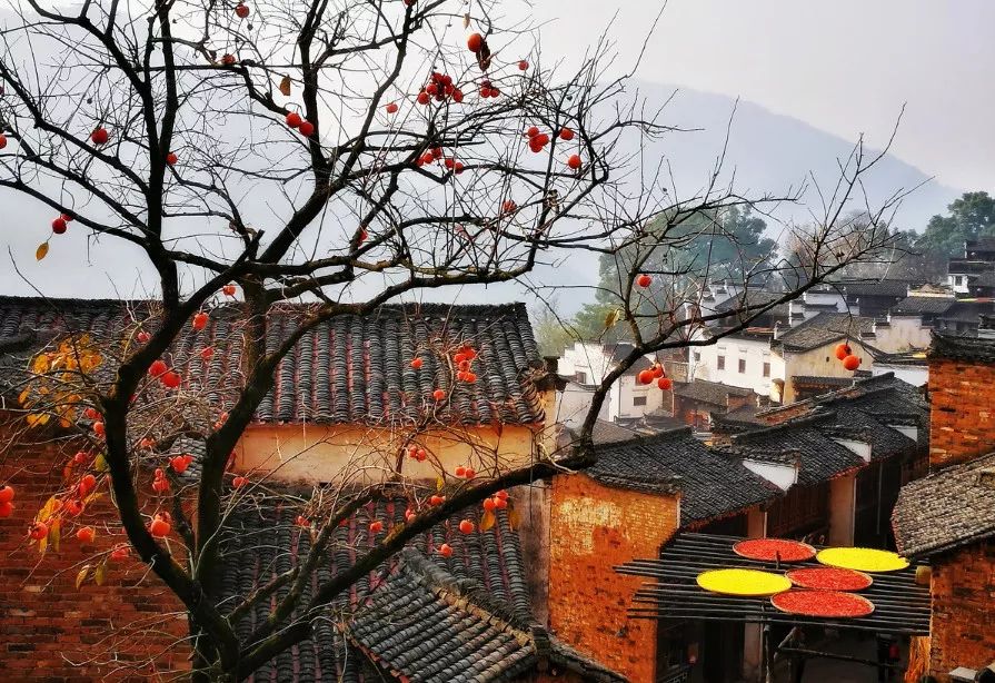 做过这30件事才叫爱旅行的人,旅行的十大重要事