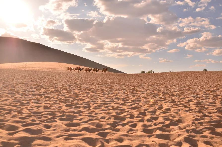 做过这30件事才叫爱旅行的人,旅行的十大重要事