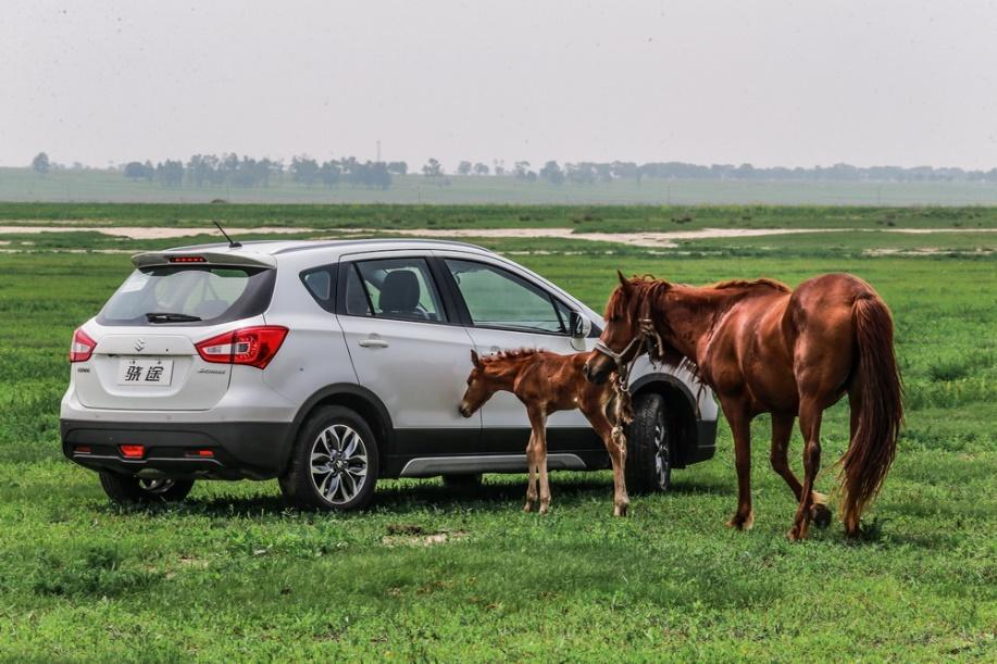 试驾长安铃木羚羊,长安铃木骁途越野视频