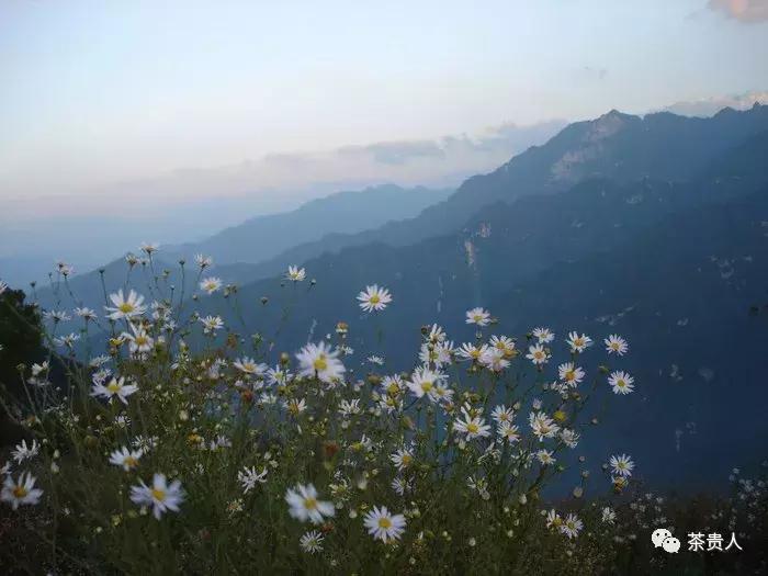 奚斌锋：终南何有？有纪有堂——终南有道