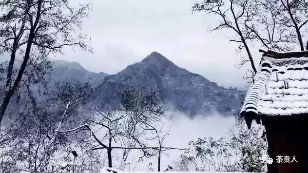 奚斌锋：终南何有？有纪有堂——终南有道