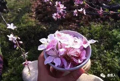 奚斌锋：终南何有？有纪有堂——终南有道