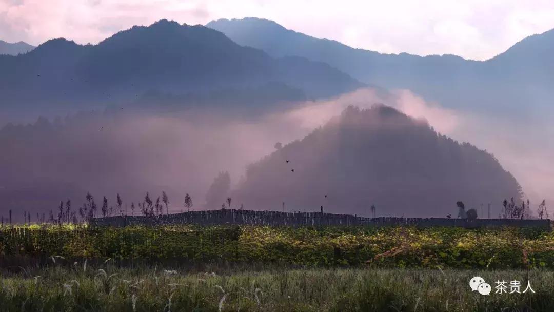 奚斌锋：终南何有？有纪有堂——终南有道