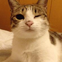 5款热门「眼膜」测评，细纹眼袋黑眼圈，统统消失！