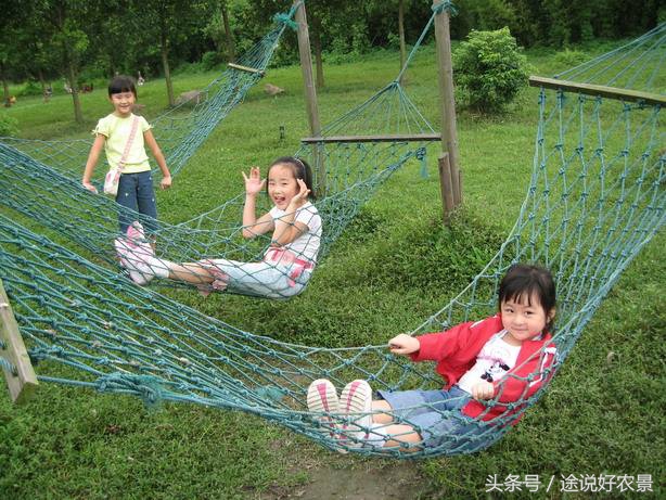上海番茄农庄度假村电话,上海松江番茄农庄公司法人