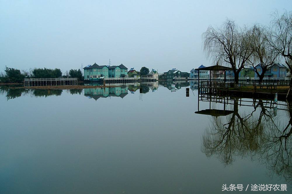 上海番茄农庄度假村电话,上海松江番茄农庄公司法人