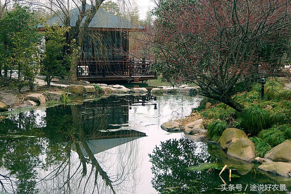 上海番茄农庄度假村电话,上海松江番茄农庄公司法人