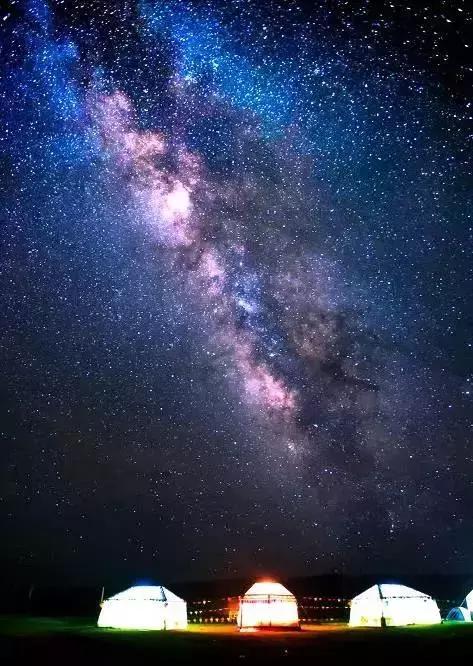 青海湖八月花海,七八月的青海湖油菜花