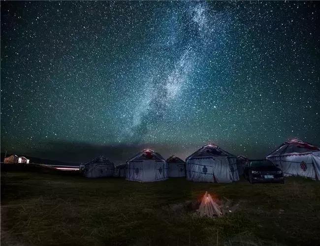 青海湖八月花海,七八月的青海湖油菜花