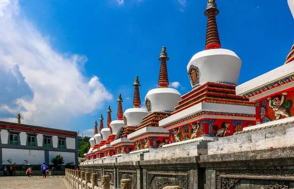 青海湖八月花海,七八月的青海湖油菜花