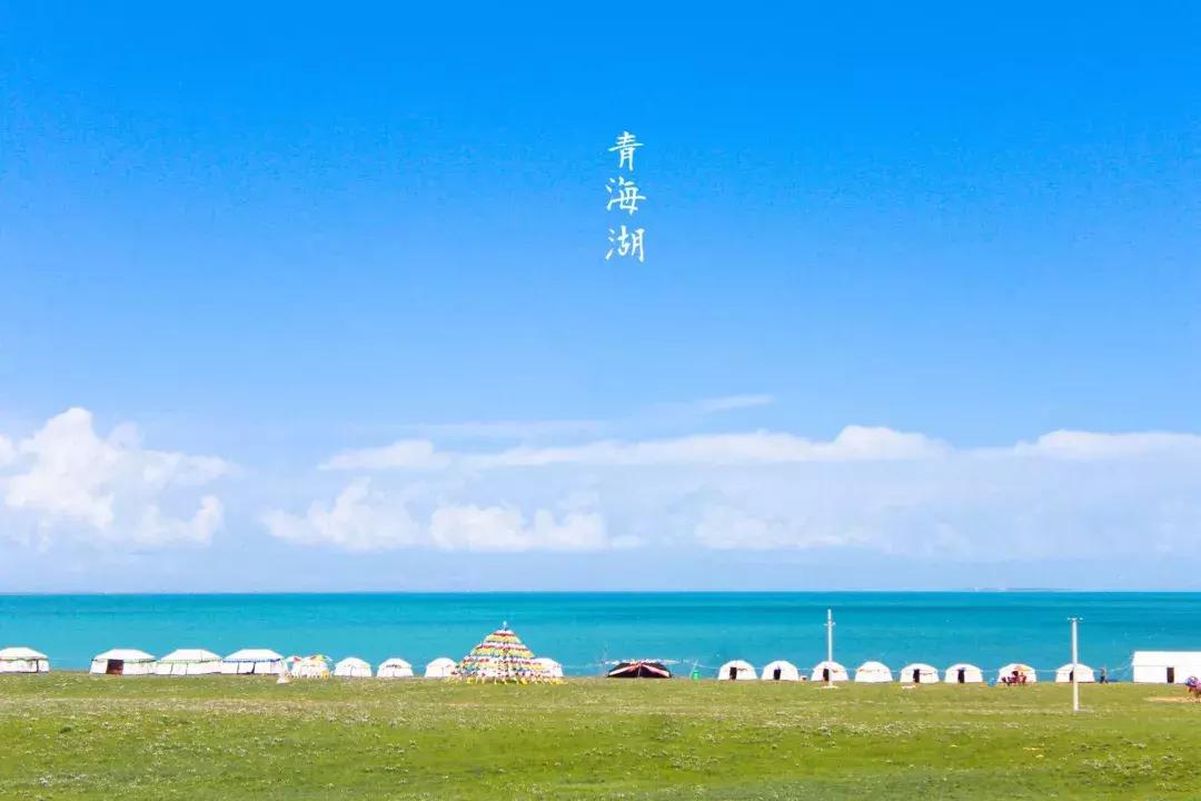 青海湖八月花海,七八月的青海湖油菜花