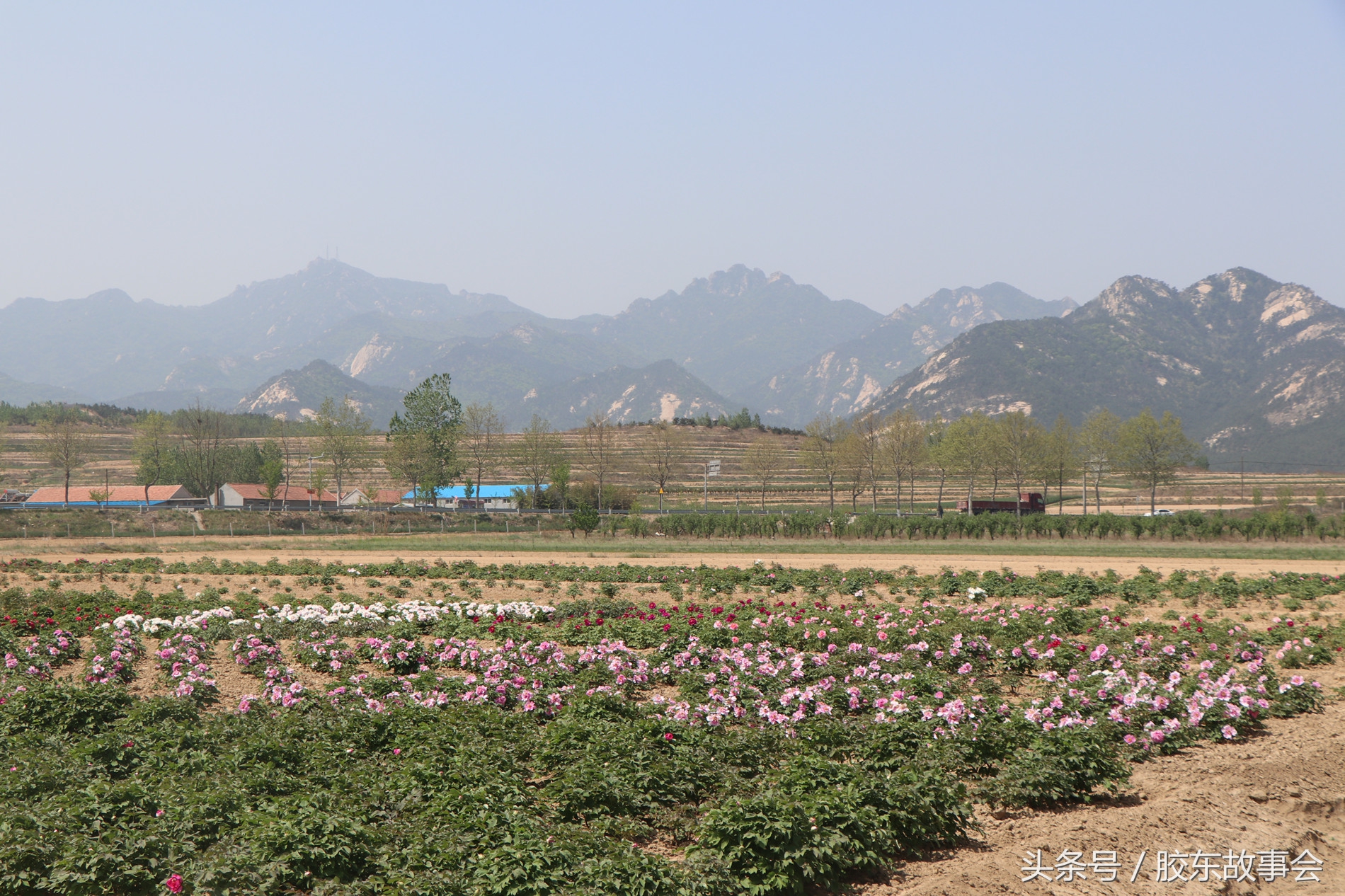 历史上叫淳于的人,登州历任太守