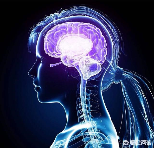 哪些内脏器官可以切除部分,人体组织切除都能切什么