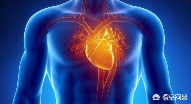 哪些内脏器官可以切除部分,人体组织切除都能切什么