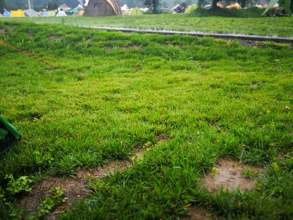 夏日全民旅行记居然还有这样的山谷？我已经去过了……