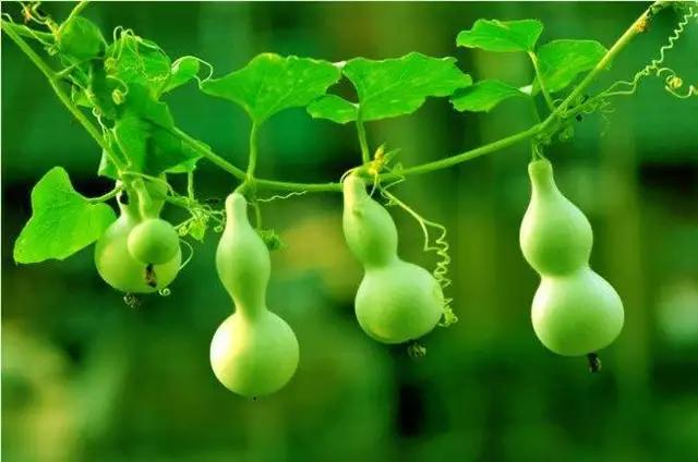 有关溽暑的诗词,原创诗词溽暑天净沙